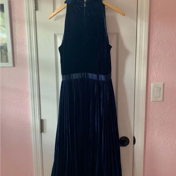 Ted Baker Cornella pleated velvet midi dress Blue- UK Sz 2 - US size  6-8 - Picture 4 of 6